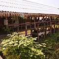 DSC01173.JPG