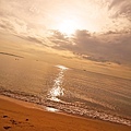 DSC09846.JPG