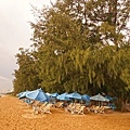 DSC09912.JPG