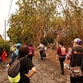 DSC04338.JPG