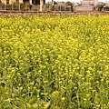 DSC04383.JPG