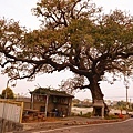 DSC04743.JPG