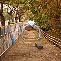 DSC04783.JPG