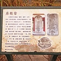 DSC05579.JPG