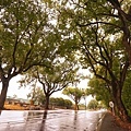 DSC05719.JPG