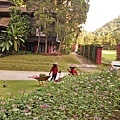 DSC01690.JPG
