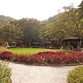 DSC01419.JPG