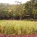 DSC01424.JPG