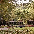 DSC01431.JPG