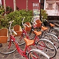 DSC01437.JPG