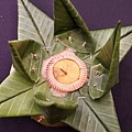 DSC01512.JPG