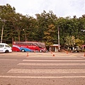 DSC07996.JPG