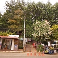 DSC07606.JPG