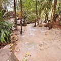 DSC07633.JPG