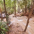 DSC07637.JPG