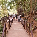 DSC07643.JPG