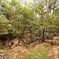 DSC07657.JPG