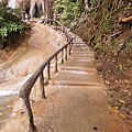 DSC07823.JPG