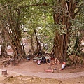 DSC07975.JPG