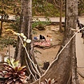 DSC07977.JPG