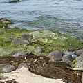 DSC00373.JPG