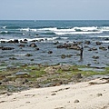 DSC00383.JPG