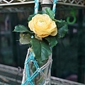 DSC00582.JPG