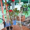 DSC00604.JPG