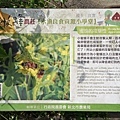 DSC09558.JPG