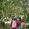 DSC09684.JPG
