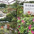 t8.jpg