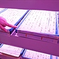 DSC01831.JPG