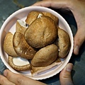 DSC03502.JPG