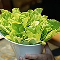 DSC03308.JPG