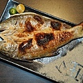 DSC05587.JPG