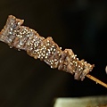 DSC05684.JPG