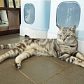 DSC03509.JPG