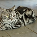 DSC03559.JPG