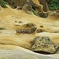 DSC03751.JPG