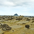 DSC03786.JPG