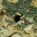 DSC03779.JPG