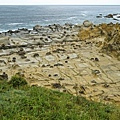 DSC03876.JPG