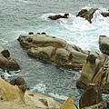 DSC03935.JPG