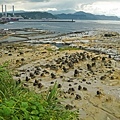 DSC03960.JPG