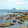 DSC04772.JPG
