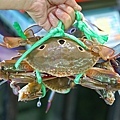 DSC04931.JPG