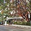 DSC03760.JPG