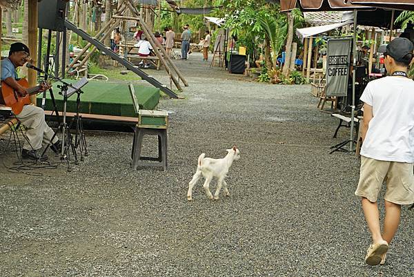DSC05086.JPG