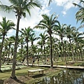 DSC05470.JPG