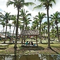 DSC05456.JPG
